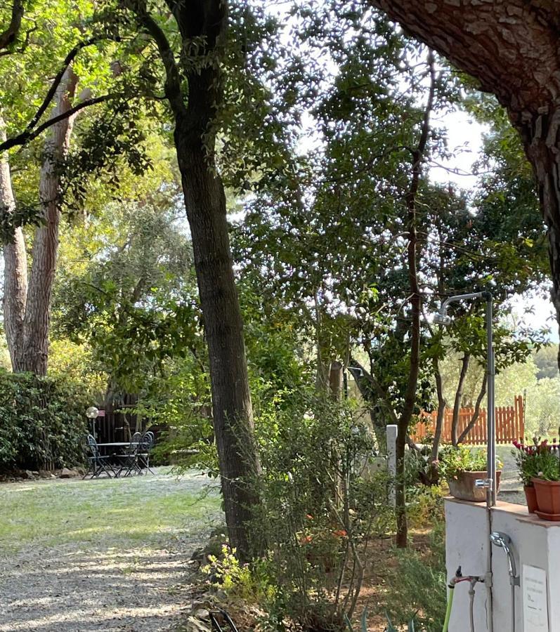 Agriturismo Podere Campalto Campiglia Marittima Eksteriør bilde