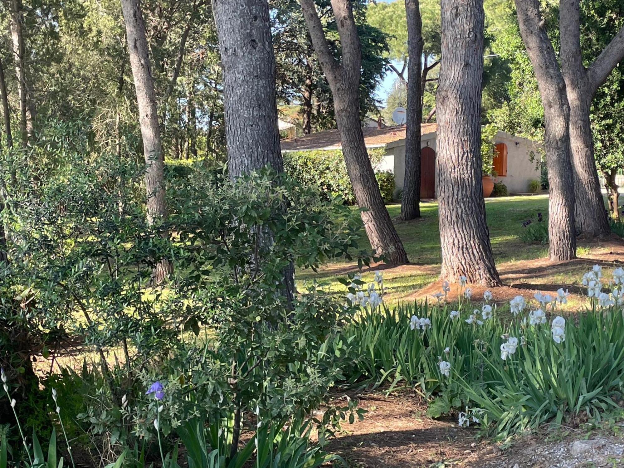 Agriturismo Podere Campalto Campiglia Marittima Eksteriør bilde