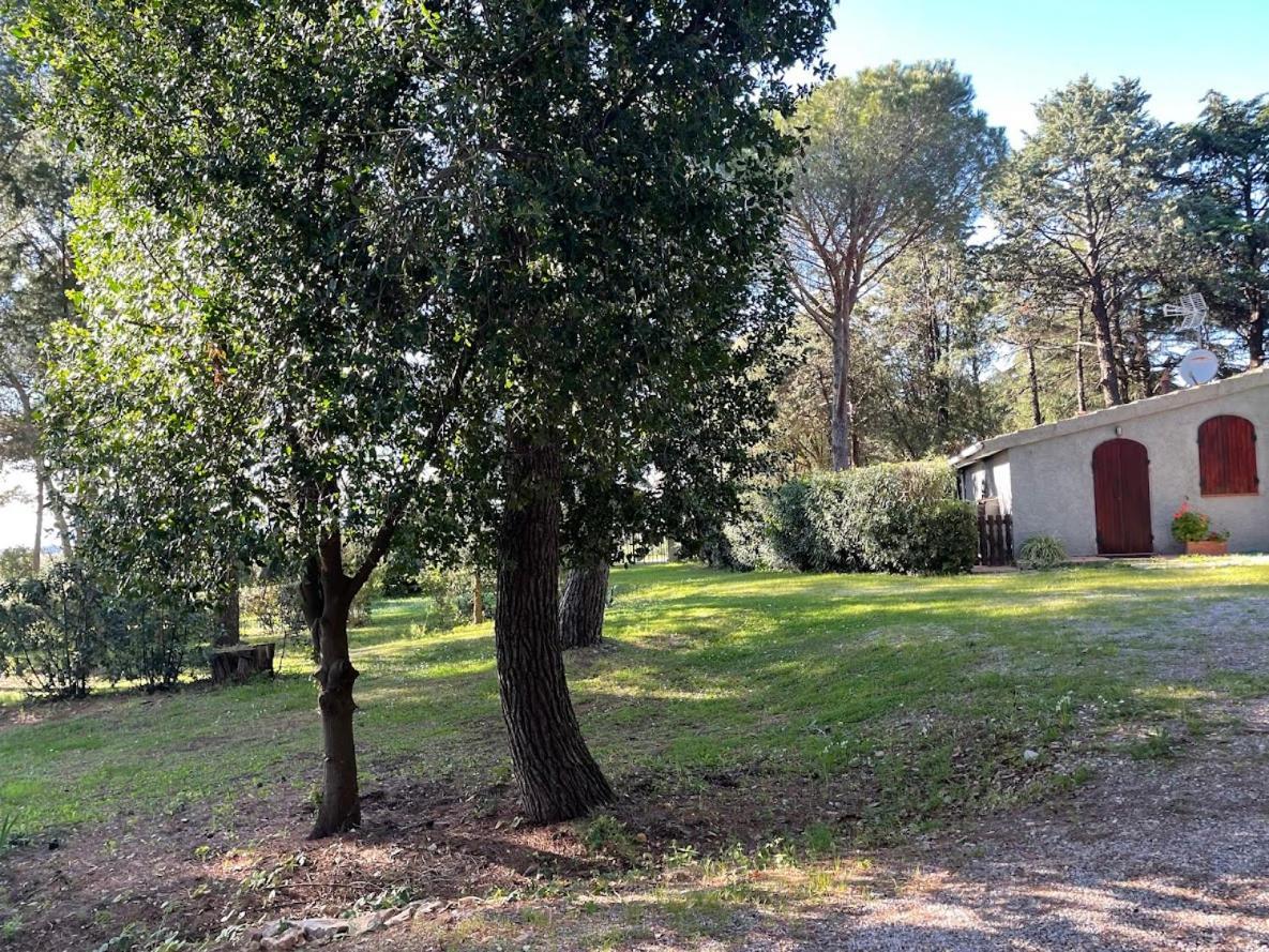 Agriturismo Podere Campalto Campiglia Marittima Eksteriør bilde