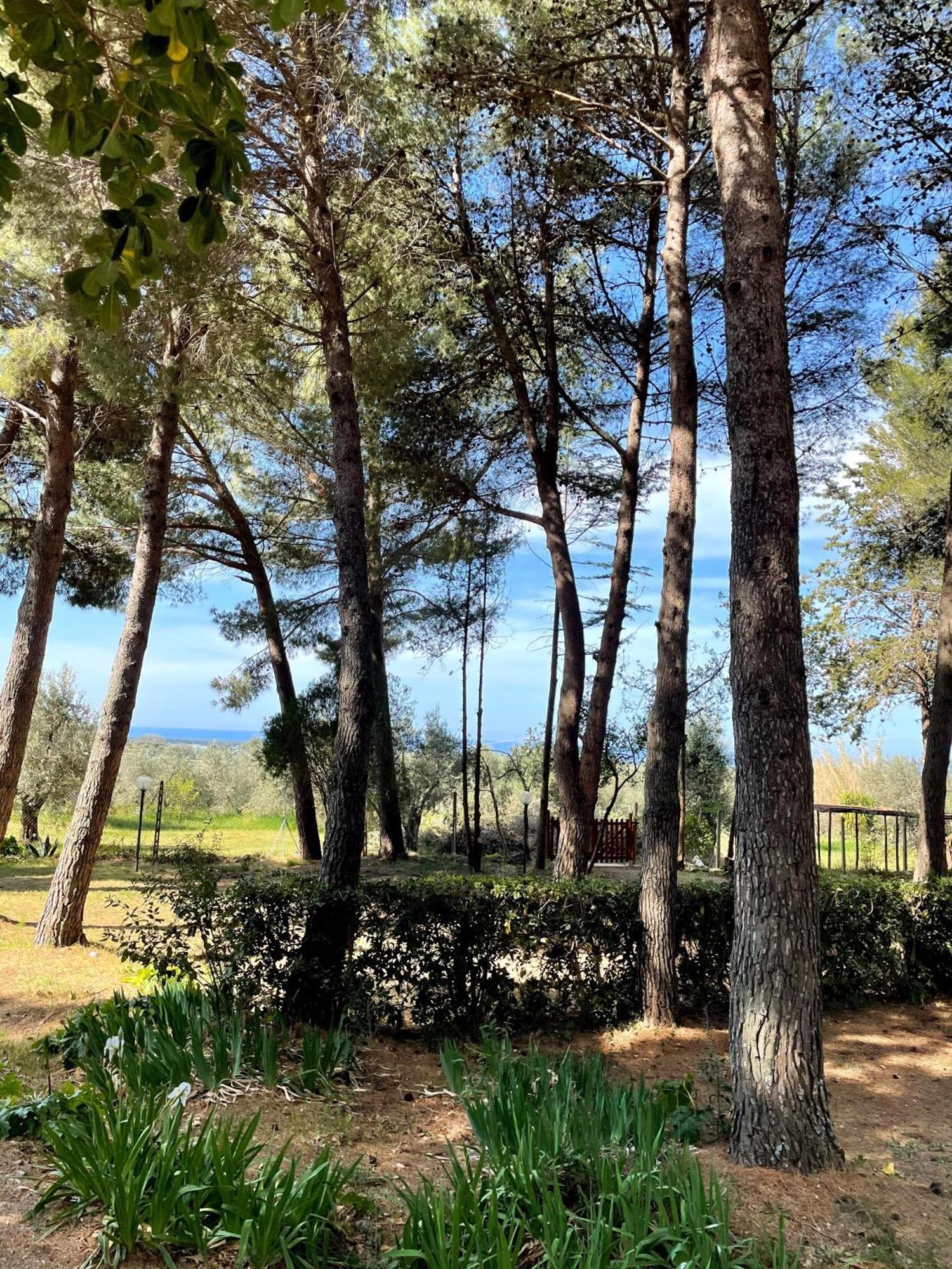 Agriturismo Podere Campalto Campiglia Marittima Eksteriør bilde