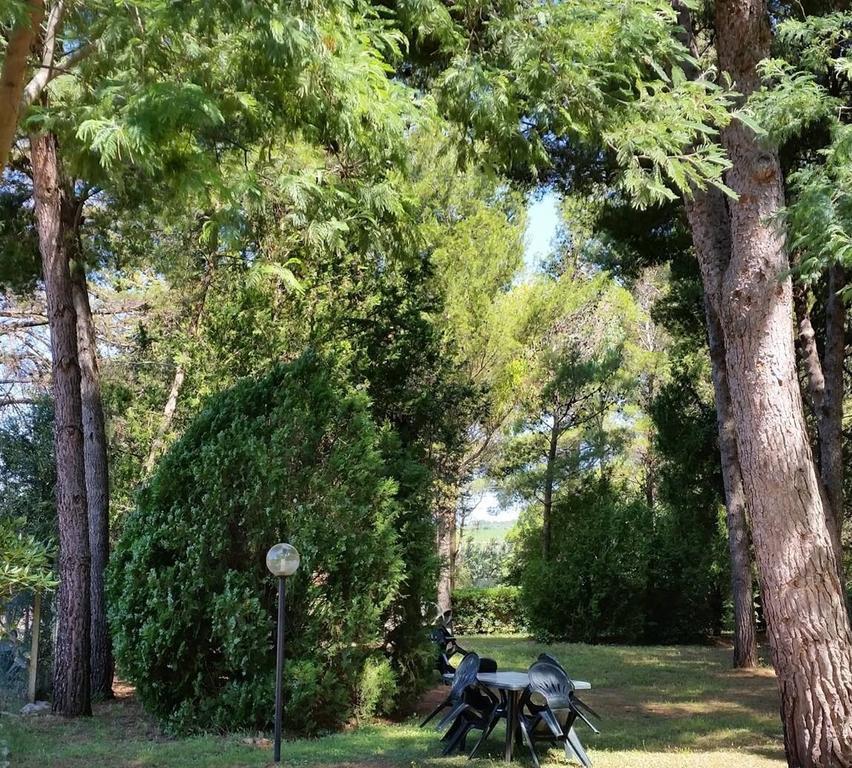 Agriturismo Podere Campalto Campiglia Marittima Eksteriør bilde