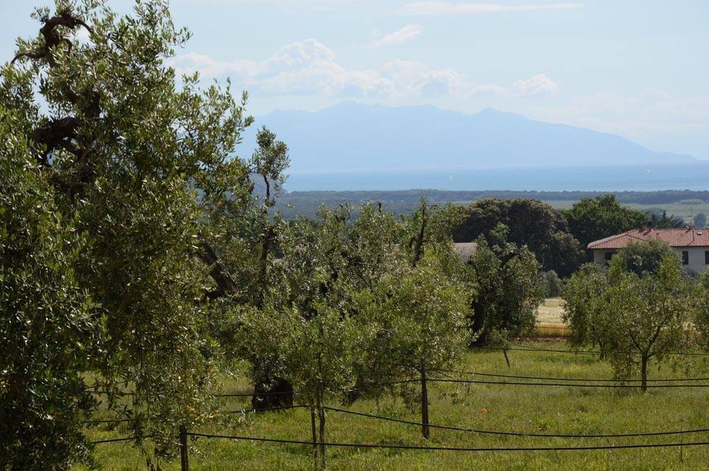 Agriturismo Podere Campalto Campiglia Marittima Eksteriør bilde
