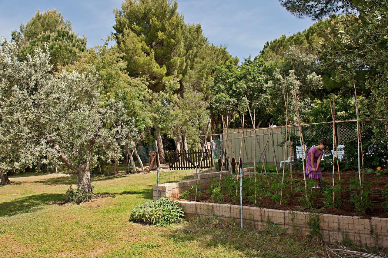 Agriturismo Podere Campalto Campiglia Marittima Eksteriør bilde