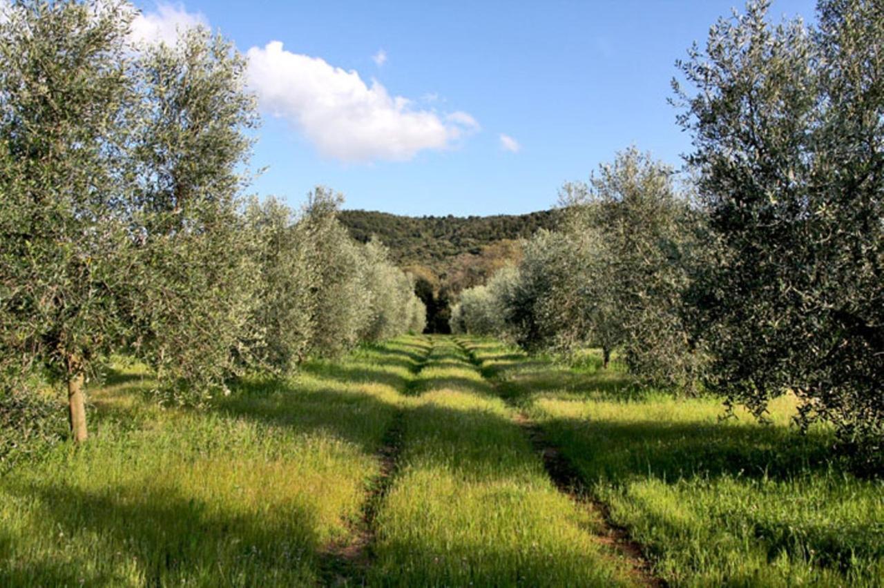 Agriturismo Podere Campalto Campiglia Marittima Rom bilde